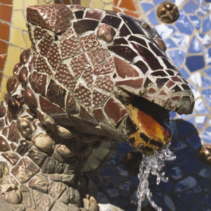 lézard